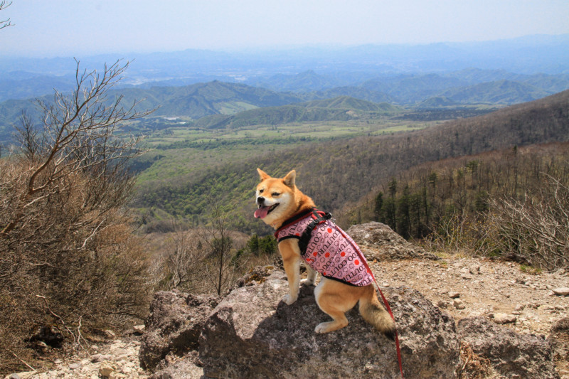 f:id:mamimami_LA:20150501121352j:image f:id:mamimami_LA:20150501121352j:image