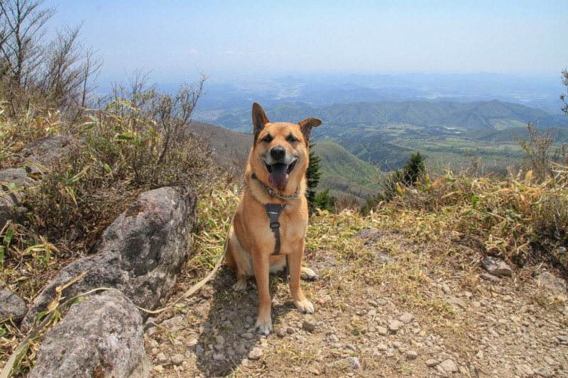 f:id:mamimami_LA:20150501121933j:image f:id:mamimami_LA:20150501121933j:image