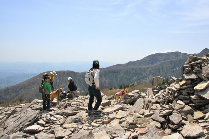 f:id:mamimami_LA:20150501123809j:image f:id:mamimami_LA:20150501123809j:image