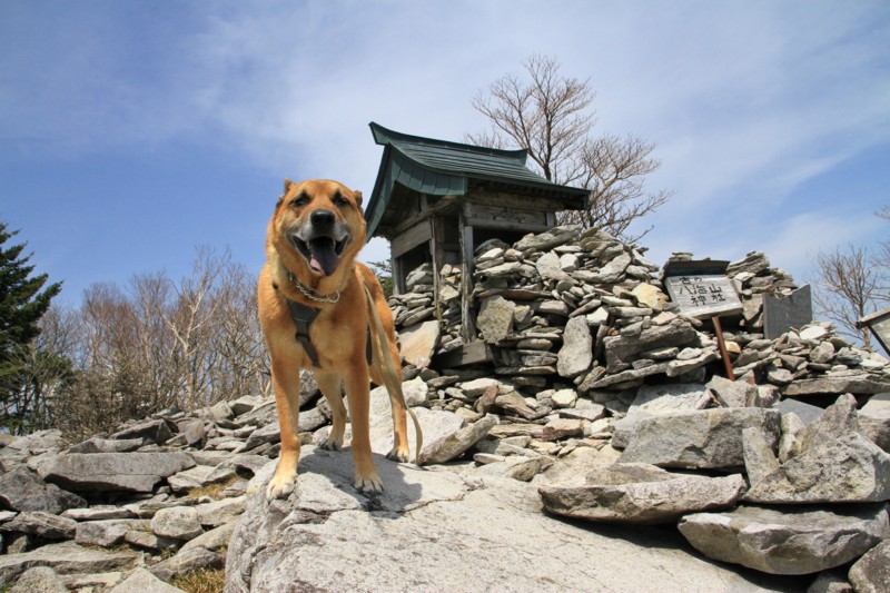 f:id:mamimami_LA:20150501124118j:image f:id:mamimami_LA:20150501124118j:image