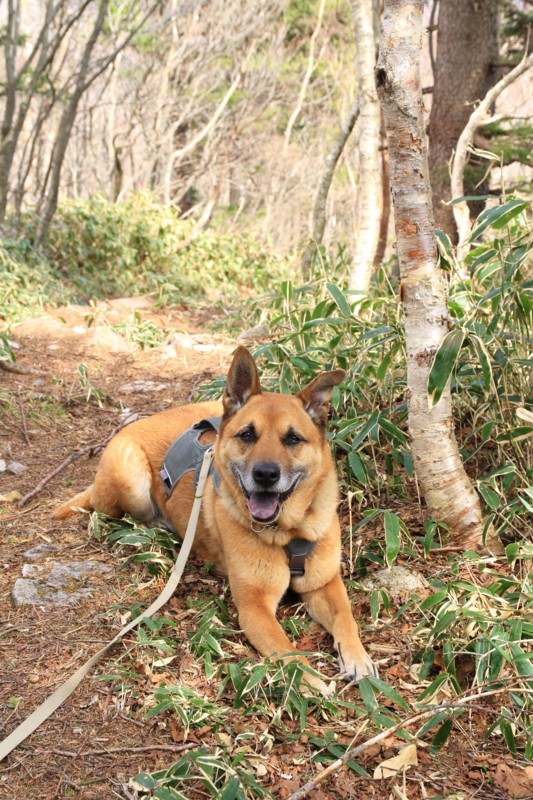 f:id:mamimami_LA:20150501125449j:image f:id:mamimami_LA:20150501125449j:image