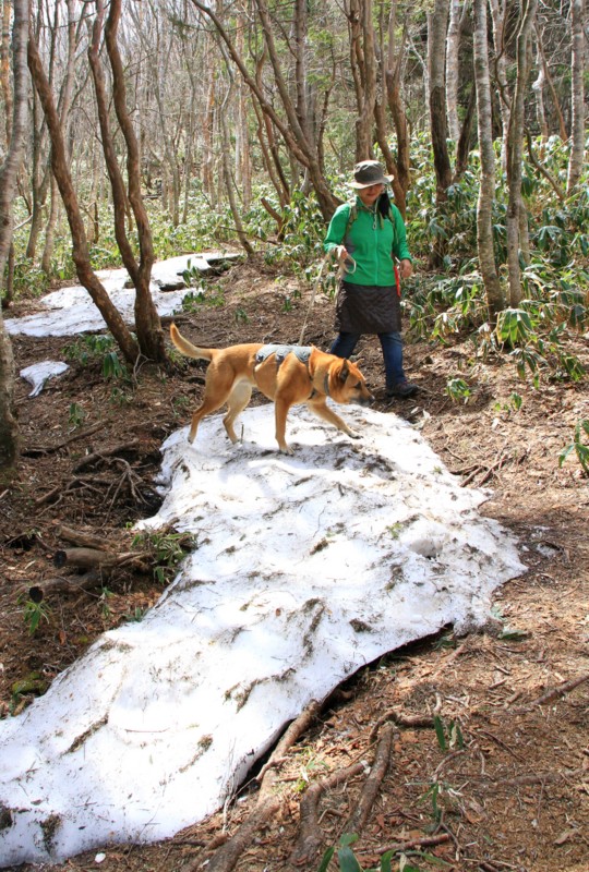 f:id:mamimami_LA:20150501131906j:image f:id:mamimami_LA:20150501131906j:image