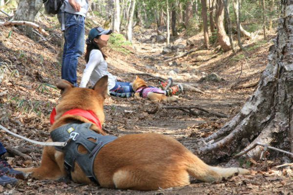 f:id:mamimami_LA:20150501141714j:image f:id:mamimami_LA:20150501141714j:image