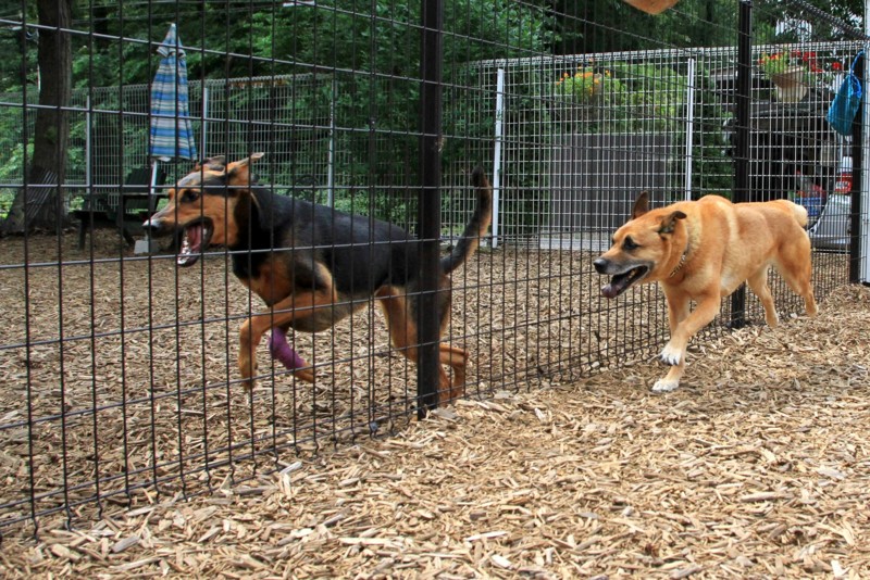 f:id:mamimami_LA:20150611090211j:plain