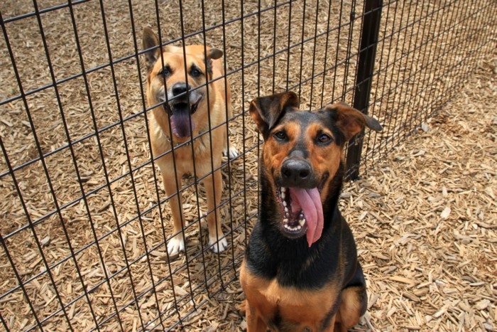 f:id:mamimami_LA:20150611094134j:plain