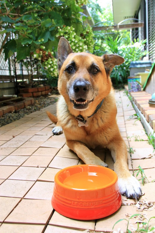 f:id:mamimami_LA:20150819111334j:plain