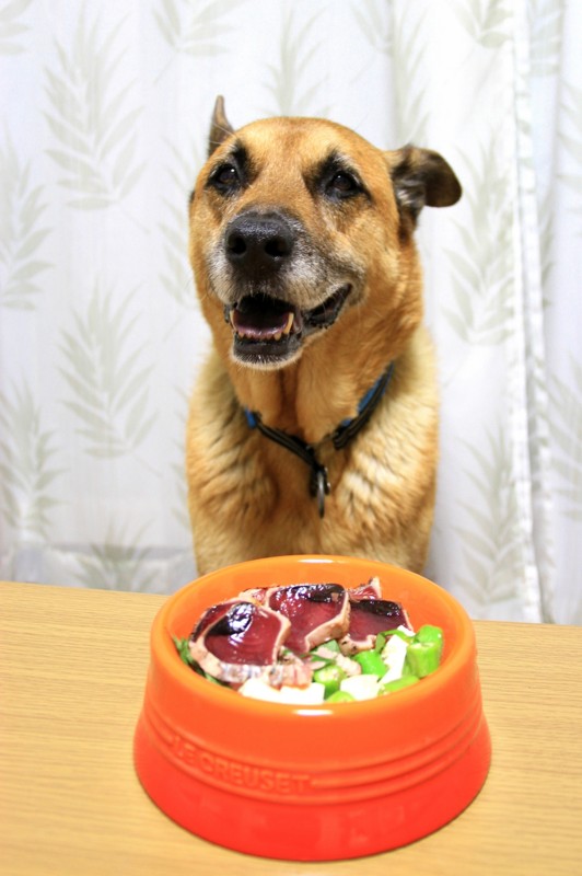 f:id:mamimami_LA:20150819183155j:plain