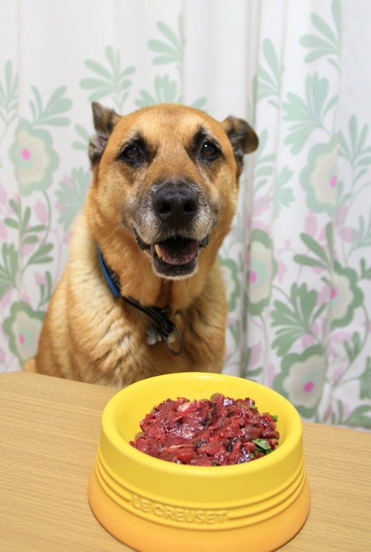 f:id:mamimami_LA:20150820172128j:plain