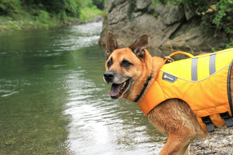 f:id:mamimami_LA:20150822085935j:plain