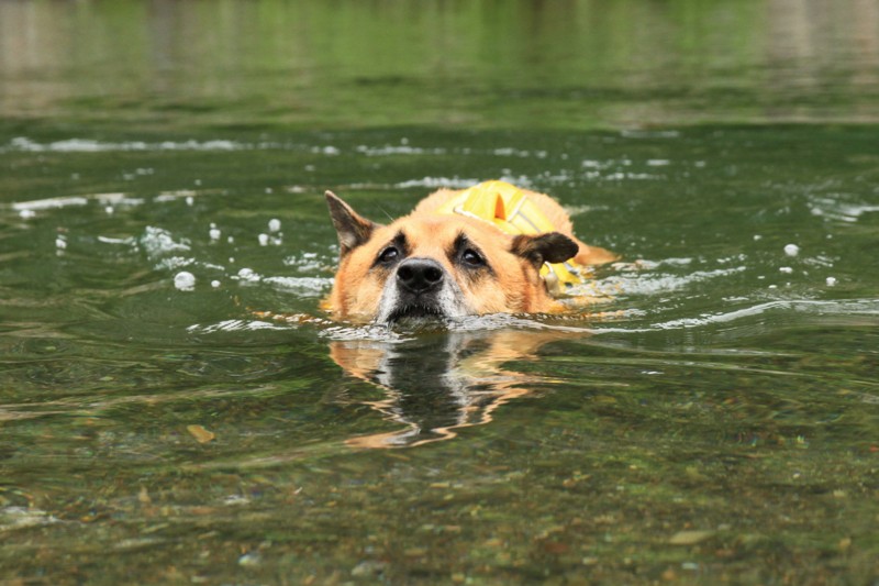 f:id:mamimami_LA:20150822090157j:plain