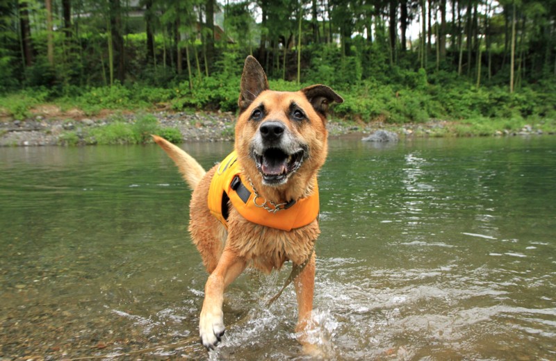 f:id:mamimami_LA:20150822090215j:plain