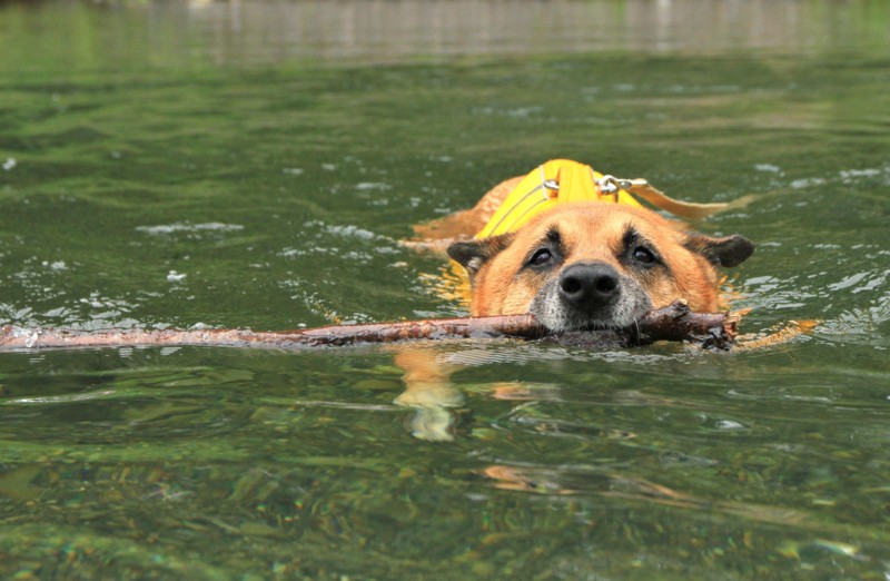 f:id:mamimami_LA:20150822091630j:plain