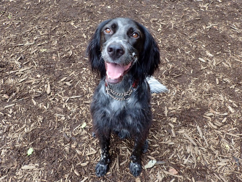 f:id:mamimami_LA:20150903090635j:plain