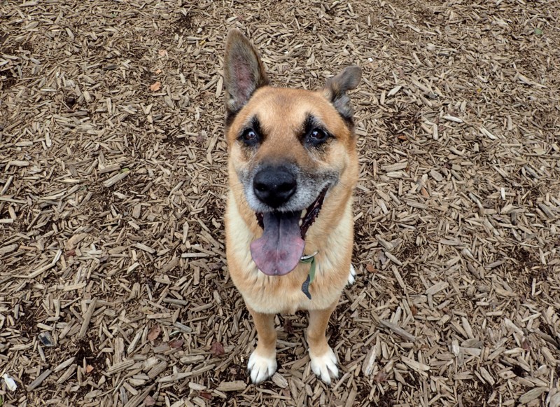 f:id:mamimami_LA:20150903091909j:plain