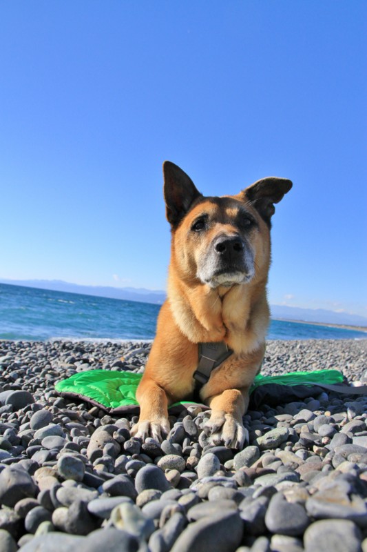 f:id:mamimami_LA:20151128134446j:plain