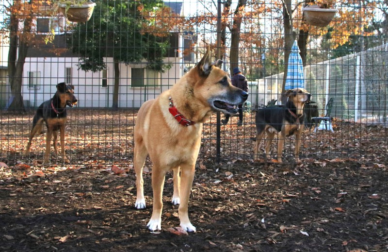 f:id:mamimami_LA:20151218092009j:plain