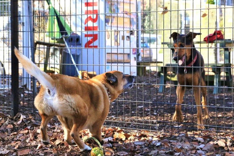 f:id:mamimami_LA:20151218093756j:plain