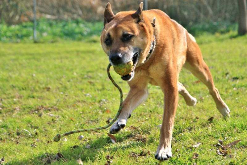 f:id:mamimami_LA:20151221104222j:plain