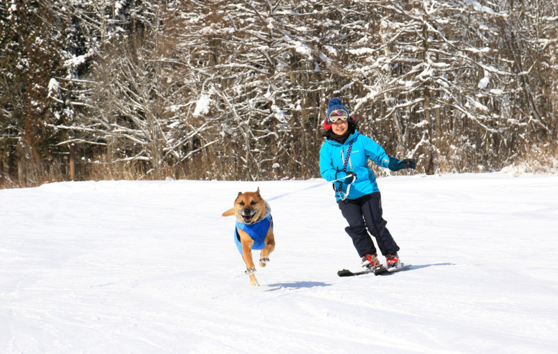 f:id:mamimami_LA:20160121114237j:plain