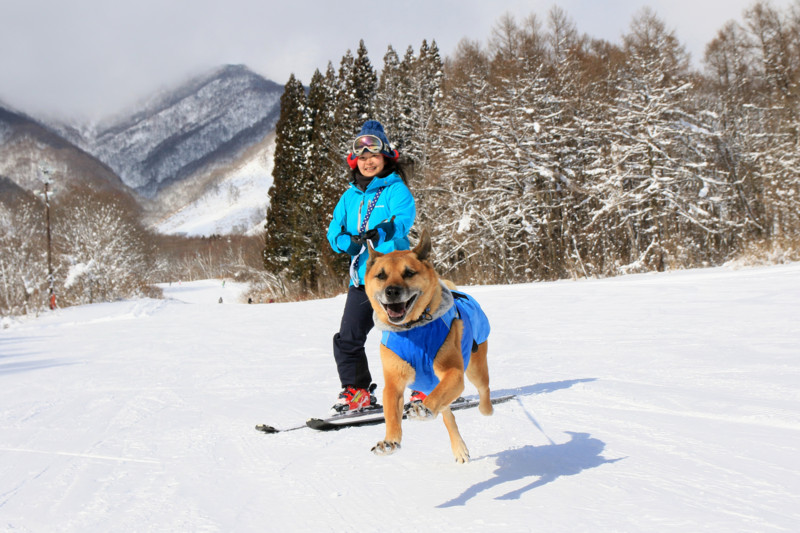 f:id:mamimami_LA:20160121114238j:plain