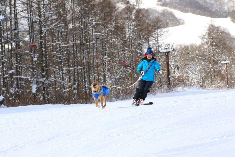 f:id:mamimami_LA:20160121123444j:plain