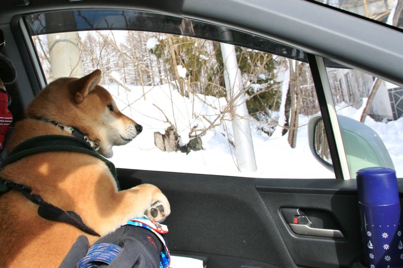 f:id:mamimami_LA:20160121125532j:plain