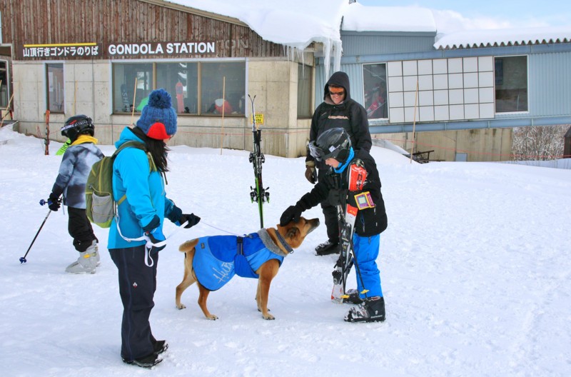 f:id:mamimami_LA:20160121131639j:plain