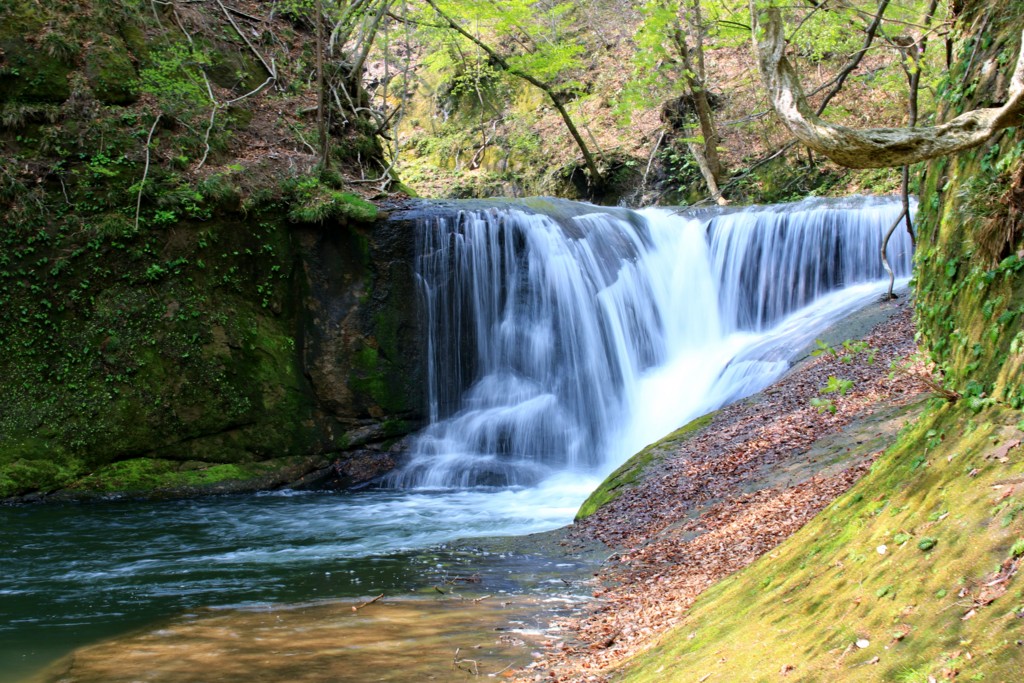 f:id:mamimami_LA:20160501132710j:plain