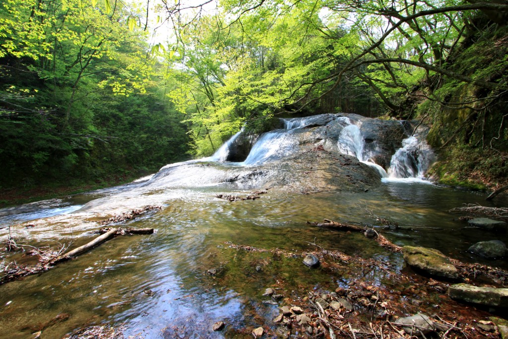 f:id:mamimami_LA:20160501134835j:plain