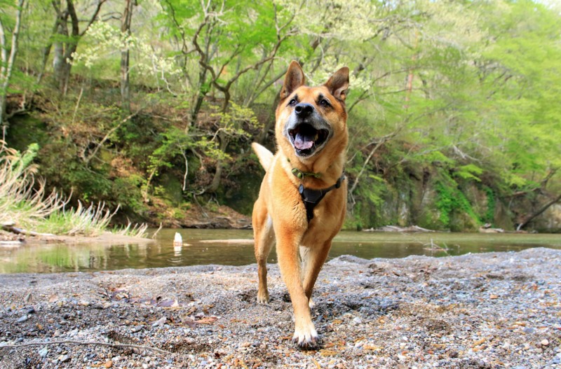 f:id:mamimami_LA:20160501145256j:plain