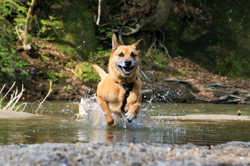 f:id:mamimami_LA:20160501145359j:plain