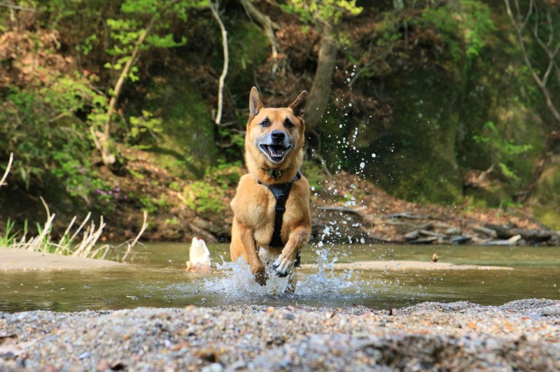 f:id:mamimami_LA:20160501145400j:plain