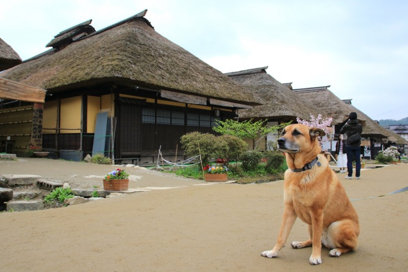 f:id:mamimami_LA:20160501164616j:plain