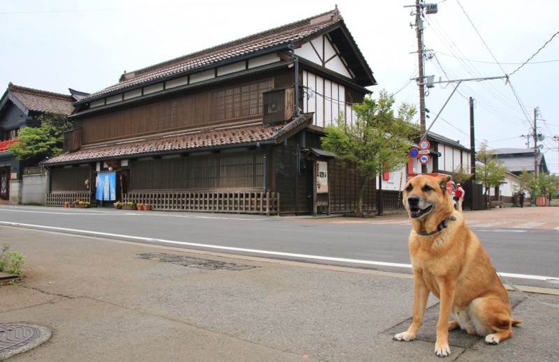 f:id:mamimami_LA:20160502105521j:plain