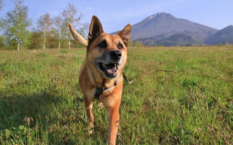 f:id:mamimami_LA:20160503065745j:plain