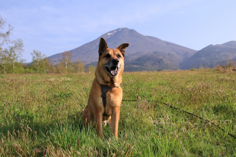 f:id:mamimami_LA:20160503070006j:plain