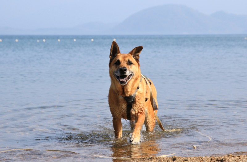 f:id:mamimami_LA:20160503075637j:plain