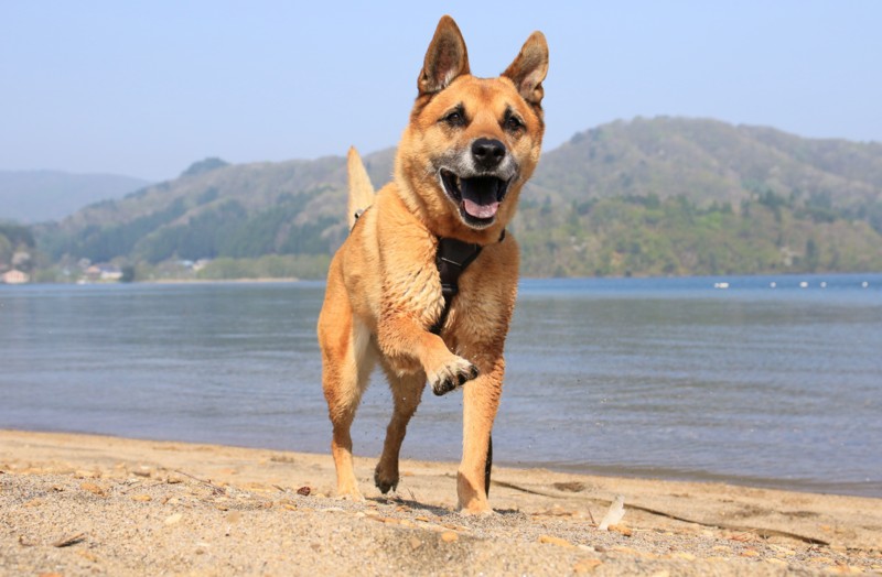 f:id:mamimami_LA:20160503080431j:plain