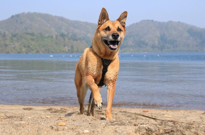 f:id:mamimami_LA:20160503081013j:plain