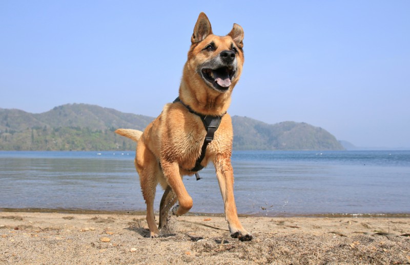 f:id:mamimami_LA:20160503081014j:plain