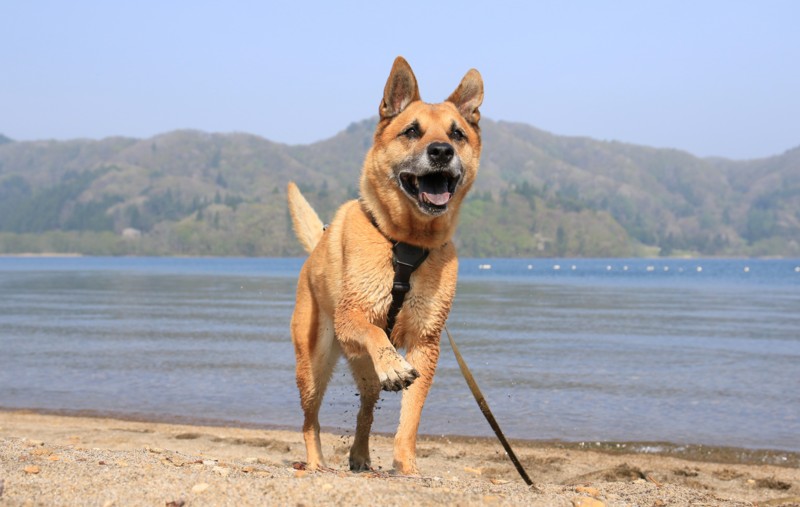 f:id:mamimami_LA:20160503081044j:plain