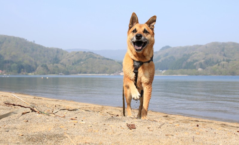 f:id:mamimami_LA:20160503081258j:plain