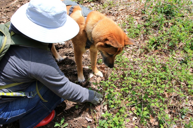 f:id:mamimami_LA:20160503111125j:plain