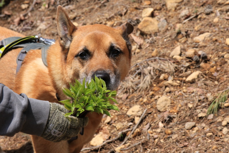 f:id:mamimami_LA:20160503111727j:plain