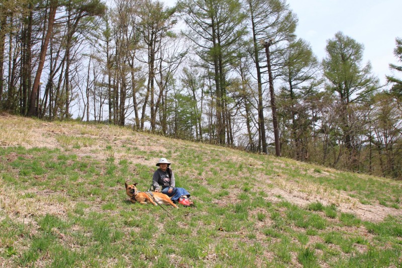 f:id:mamimami_LA:20160503115054j:plain