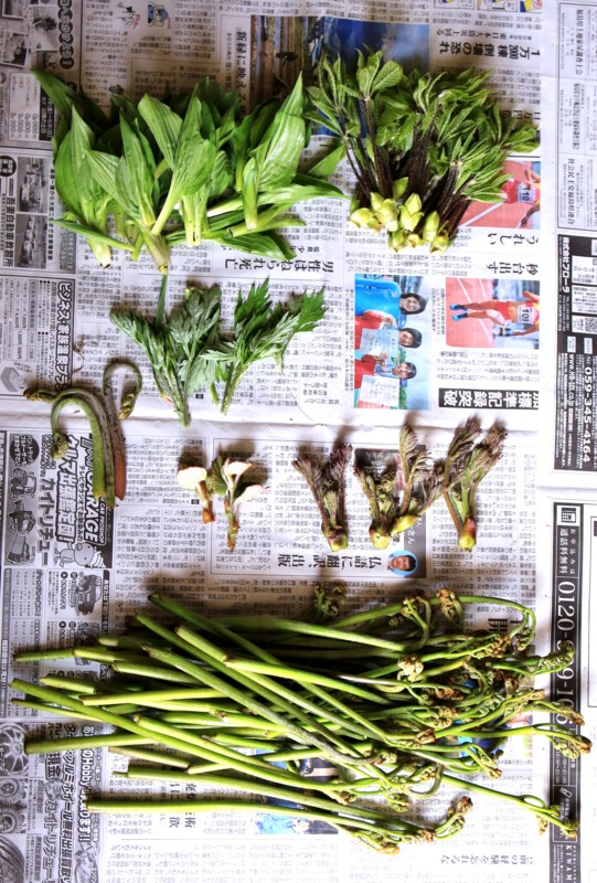 f:id:mamimami_LA:20160503124745j:plain