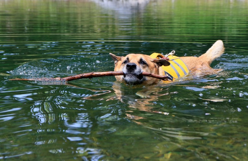 f:id:mamimami_LA:20160507104245j:plain