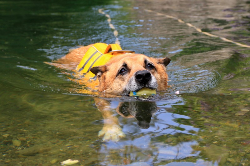 f:id:mamimami_LA:20160507110955j:plain