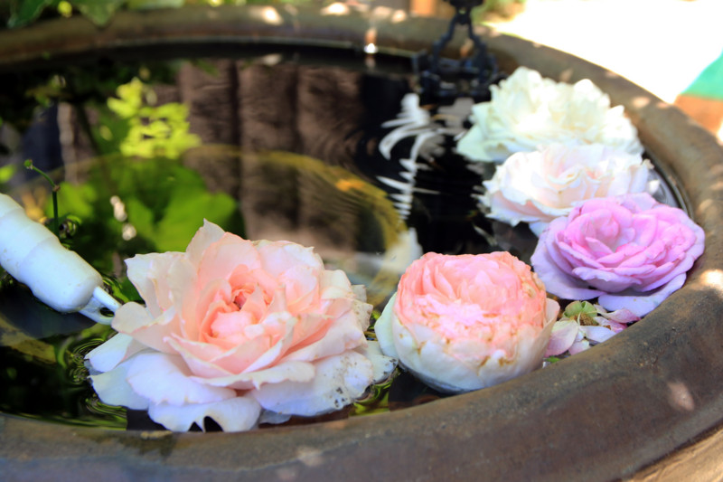 f:id:mamimami_LA:20160512114401j:plain