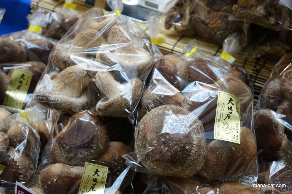 f:id:mana-cat:20160318221529j:plain